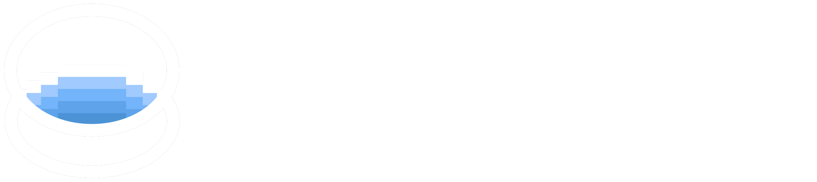 Brilliant Việt Nam